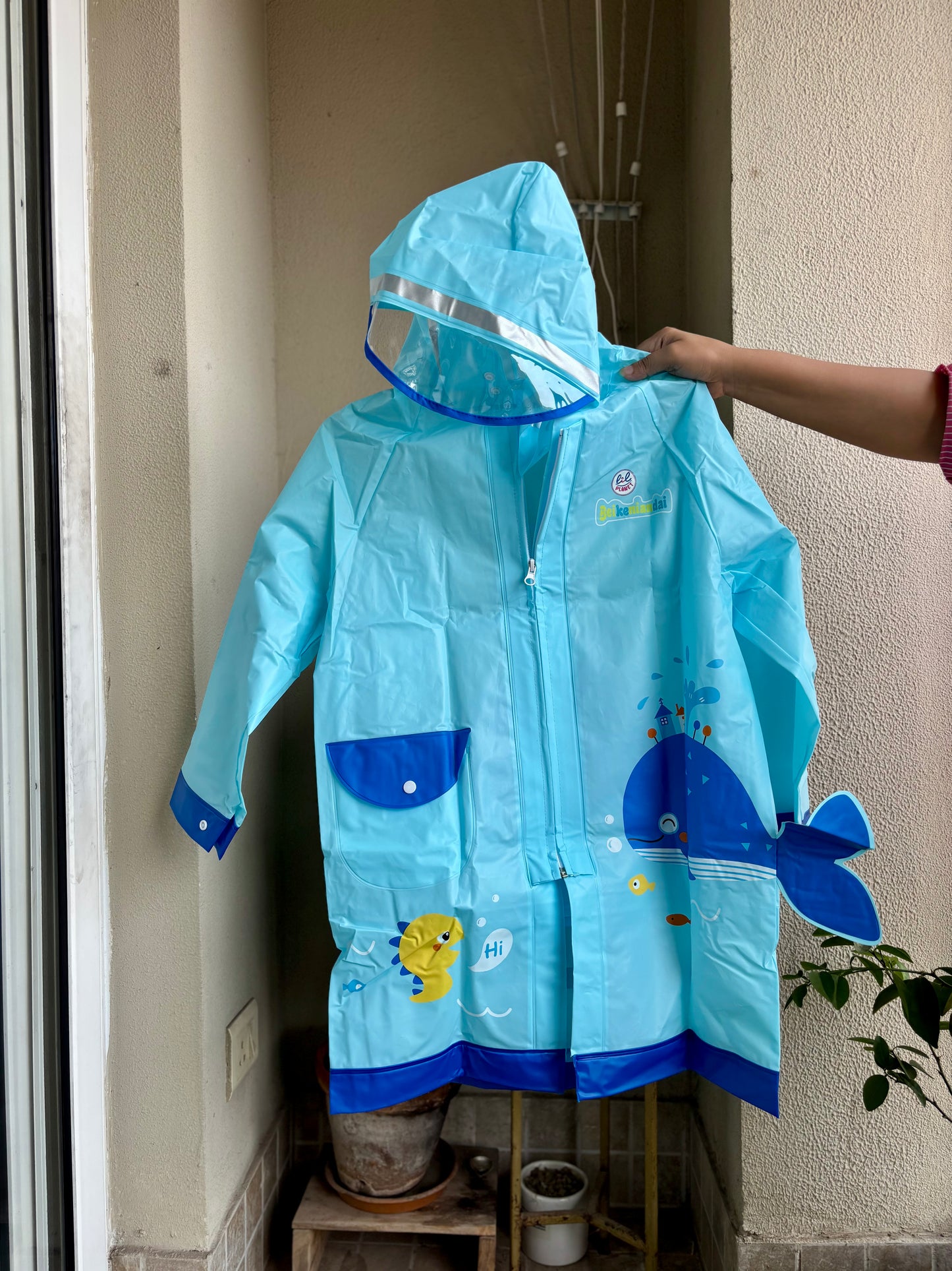 Transparent Window Space + Blue Fish Raincoat