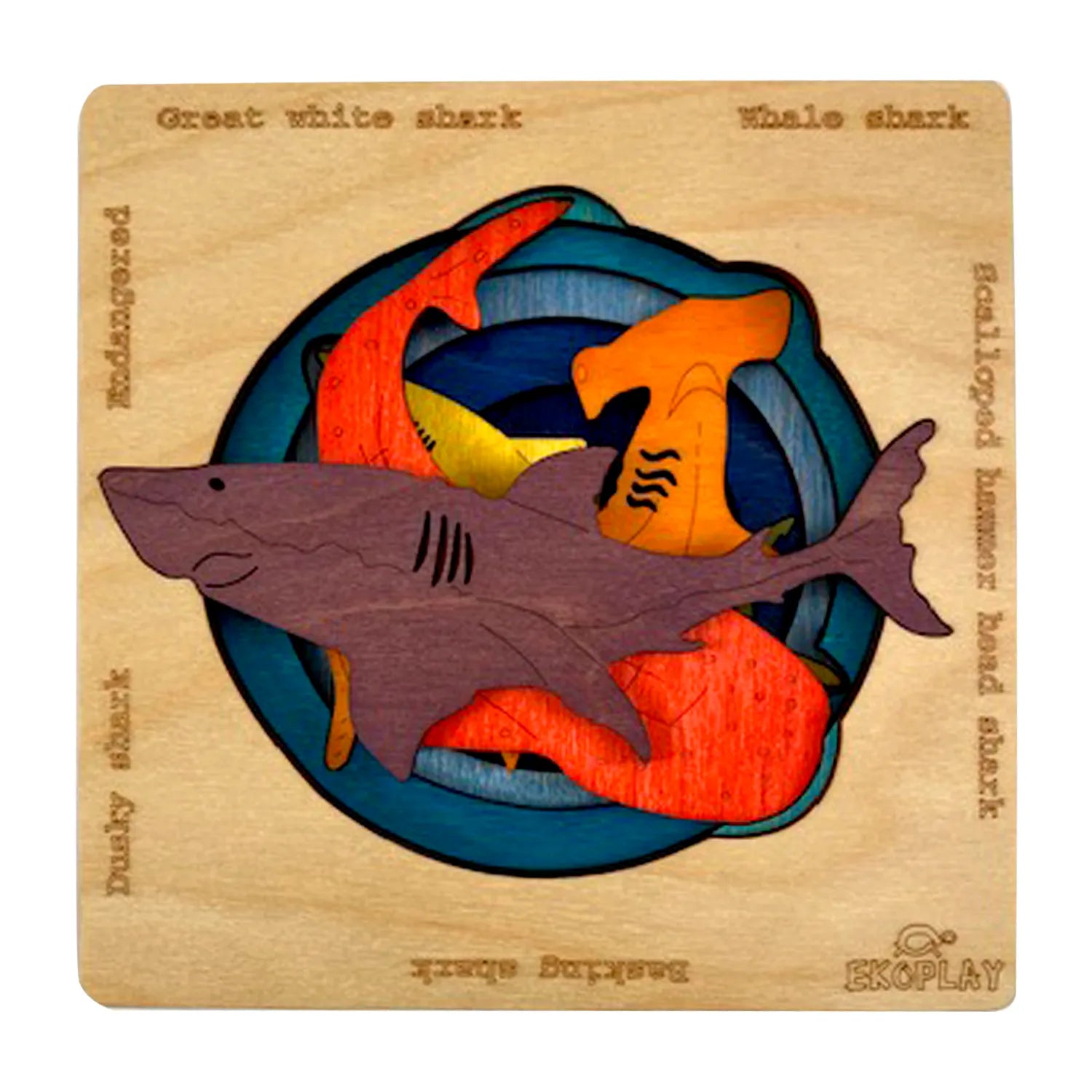 Endangered Sharks - Kee&Ka
