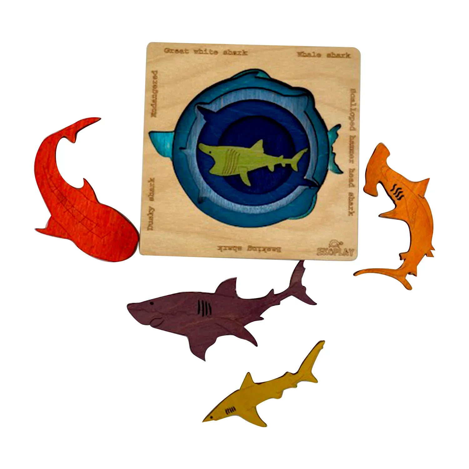 Endangered Sharks - Kee&Ka