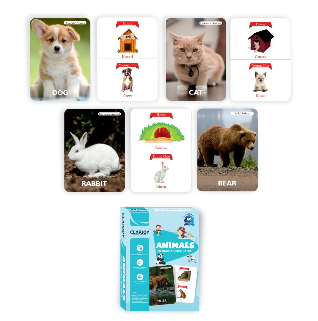 Clapjoy Combo set to 7 Flash Card - Kee&Ka