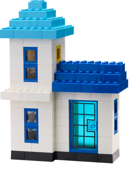 Box Of Blocks 1,000 Piece