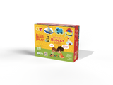 Box Of Blocks 250 Piece