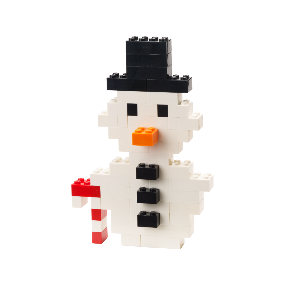 Box Of Blocks 250 Piece