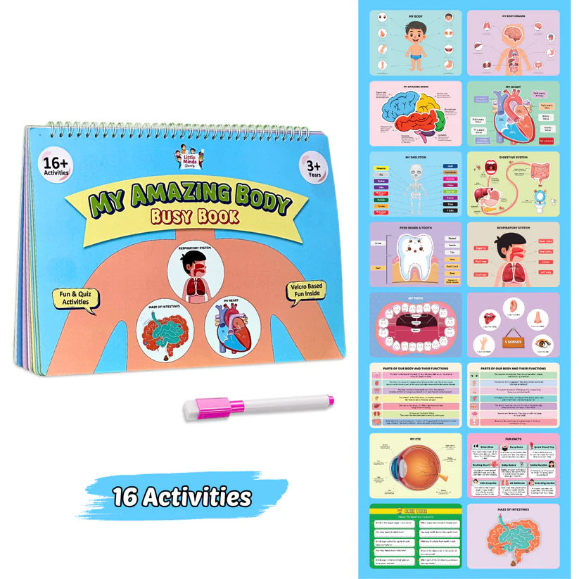 My Amazing Body Busy Book