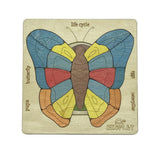 Life Cycle of a Butterfly - Kee&Ka