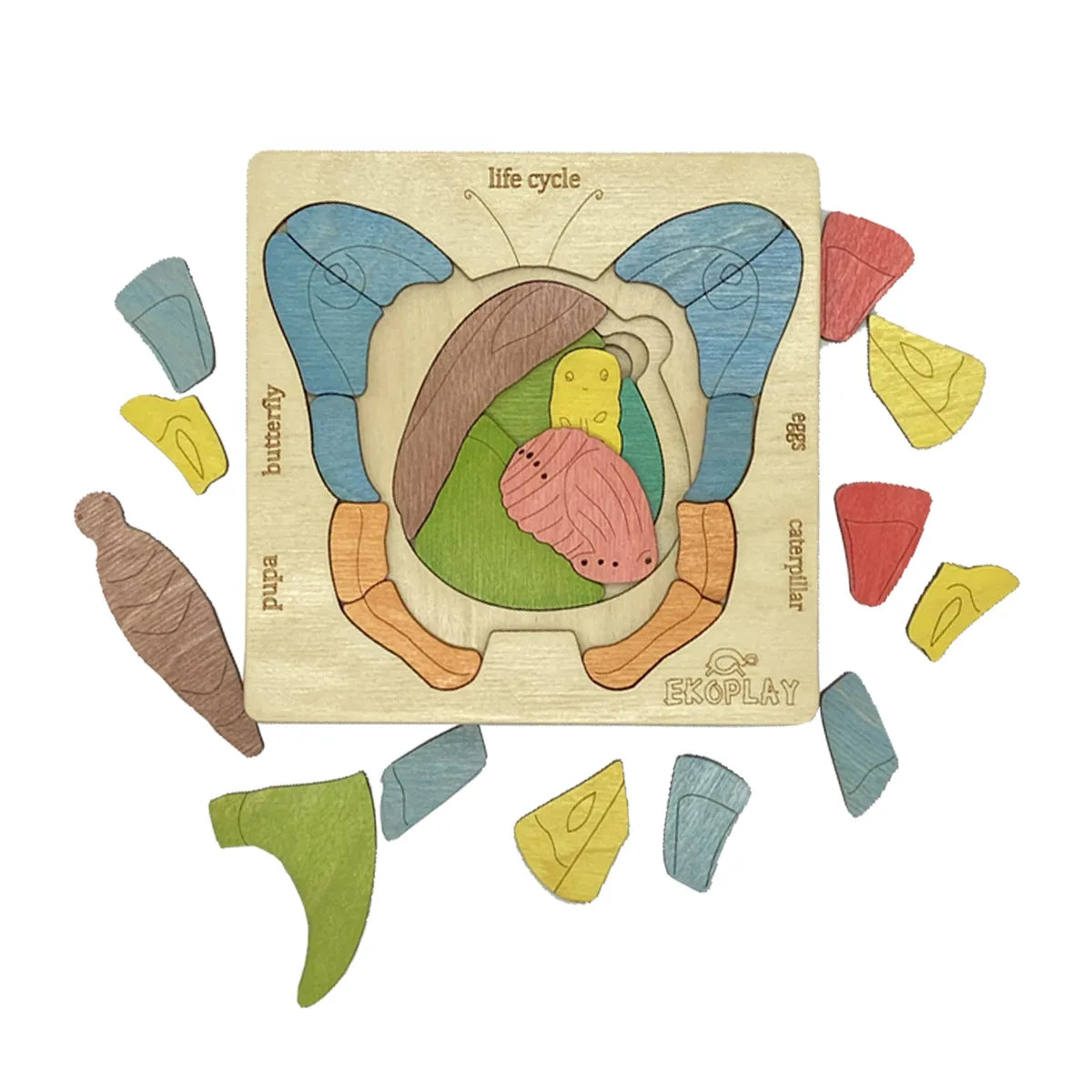 Life Cycle of a Butterfly - Kee&Ka