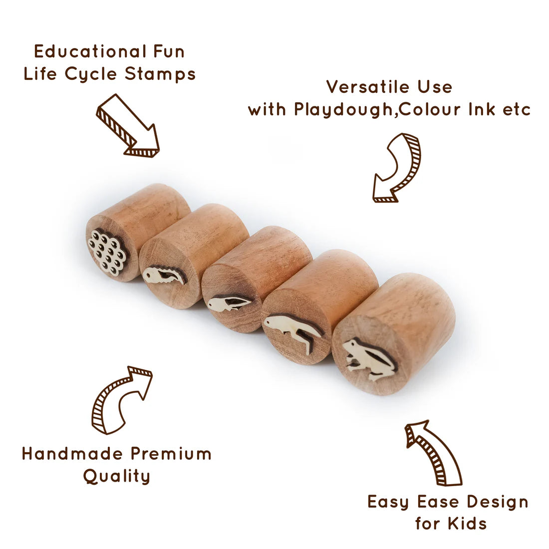 Frog Life Cycle Stamp – Montessori Wooden Stamp Set for Kids