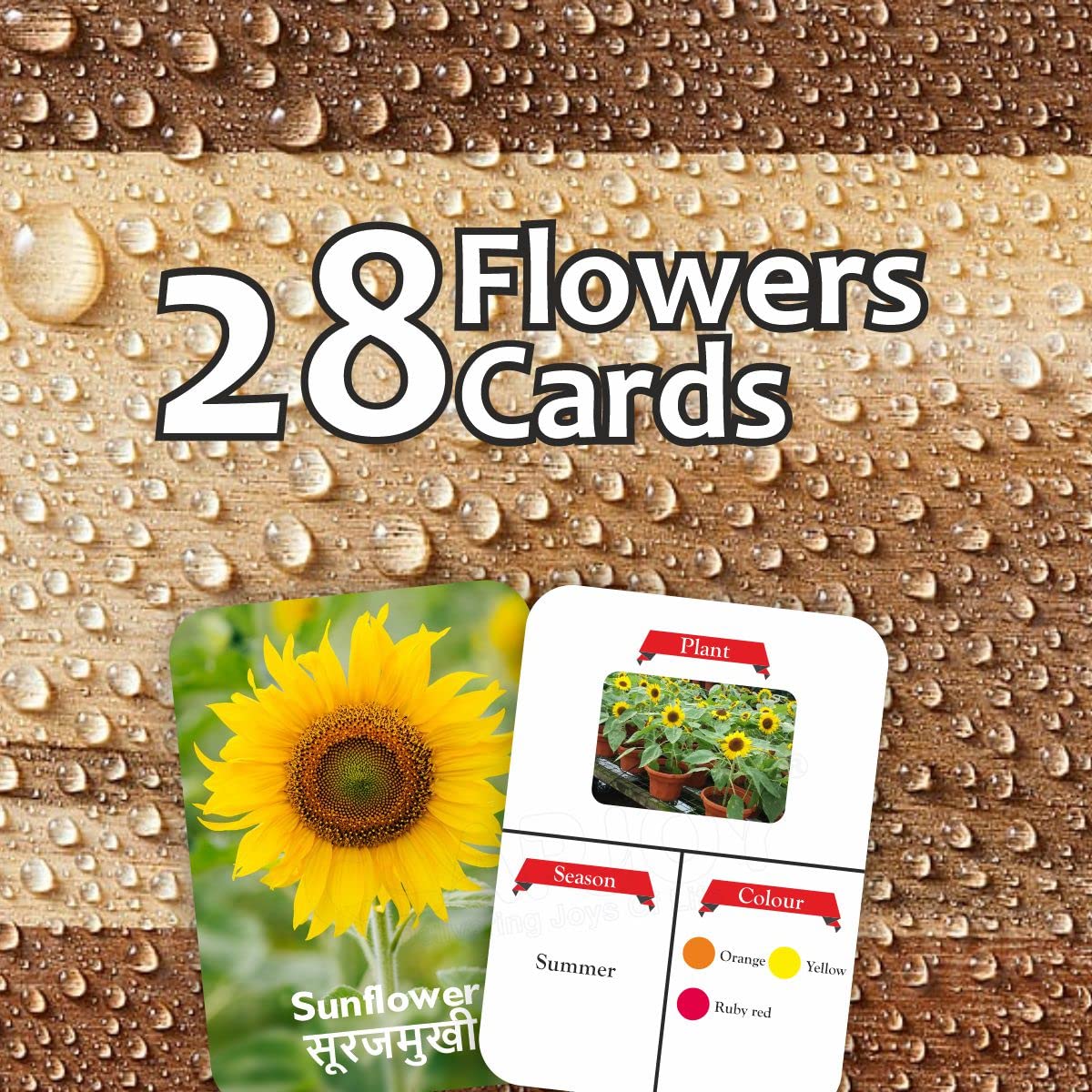 Clapjoy Double Sided Flash Cards for Kids (4-Alphabet,Sea Creature,Vehicles & Flowers) - Kee&Ka