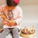 Wooden Chocolate Cake Toy with 6 Candles